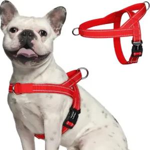 래빗구 개 하네스 당김 금지 부드러운 패딩 손잡이가 있는 작은 개를 위한 퀵 핏 가슴 조절 가능한 반사