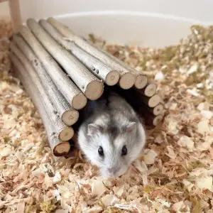 천연 나무 햄스터 마우스 터널 튜브 쥐 설치류를 위한 작은 동물 씹기 장난감