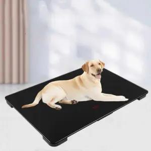 측정기 체중계 반려견 대형견 저울 몸무게 동물병원