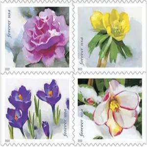 스노우 뷰티 2022 20권 겨울 꽃 정원 결혼식 사랑 축하 홀리데이 일등 우편 영원히 우표