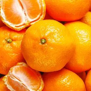 미국산 만다린 감귤 고당도 귤 1kg