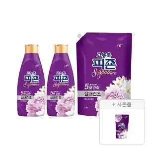 피죤 고농축 시그니처 섬유유연제 미스틱레인 용기 1L, 2개+리필 1.6L, 1개+증정(미스틱레인 300ml, 1개)