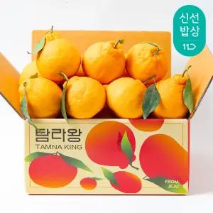 [탐라왕] 제주 가정용 한라봉/천혜향 2kg /2개구입시 4.5kg발송