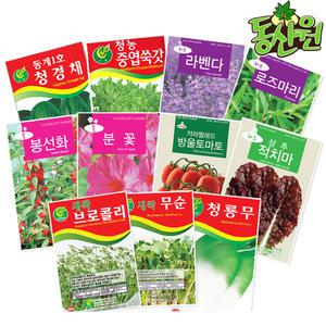 [다양한 씨앗모음] 채소씨앗 상추씨 꽃씨 새싹씨 허브씨 무씨 옥수수콩씨 종자