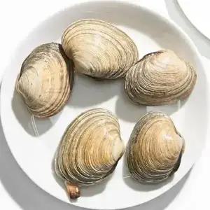 삼삼 거제도 자연산 개조개1kg(6~8미내외)