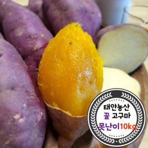 건강한 태안! 안면도 꿀고구마 못난이(사이즈 혼합) 10kg (박스포함)