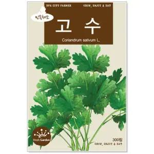 민속씨앗 고수 300립