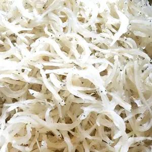 25년 햇 진도뱅어 100g 귀한 뱅어 실치 멸치 고급진 맛 쪽빛누리