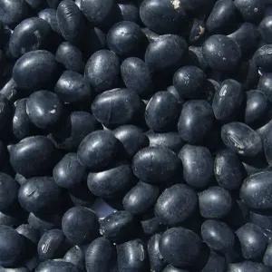 국산 서리태 새바람 2kg 25년산