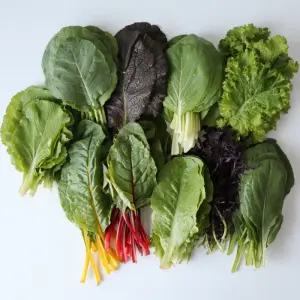 [젊은농부의 친환경] 유기농 쌈&샐러드 채소 600g