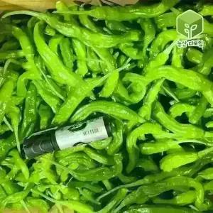 국내산 꽈리고추 상 4kg