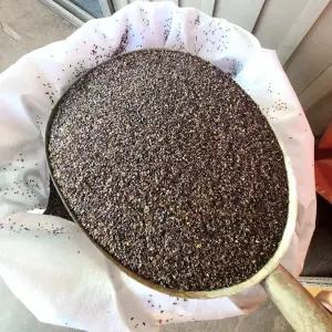 도라지씨앗 종자 도라지씨 재배 1kg(500g*2)