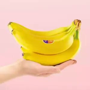 [거북농산] 에콰도르/베트남 바나나 13kg 10-12봉지