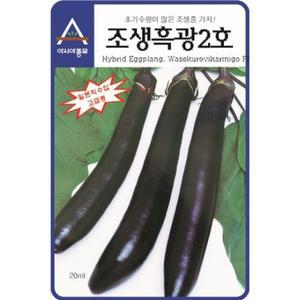 [아시아종묘]씨앗 가지 조생흑광2호 10g