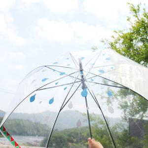 작품비닐우산 12개입 투명 우산 그리기 꾸미기 장우산 가벼운 비닐