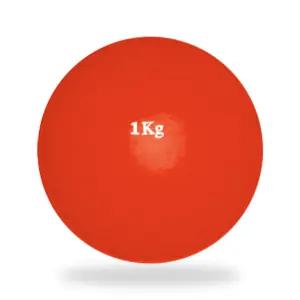 DWR 포환 연습용 실내용 1kg 훈련용 투포환