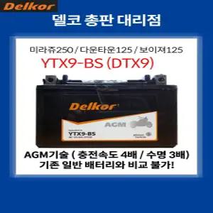 델코 YTX9-BS AGM 배터리