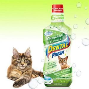 고양이 가글 치약 덴탈 치석 관리 구취제 236ml 양치 입냄새 제거
