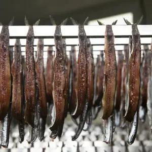 반손질 꽁치 햇 과메기 단품 5미(10쪽)