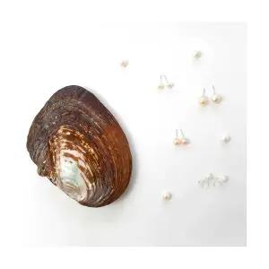 리얼 진주조개 귀걸이 공예 만들기 이색 체험 DIY 키트