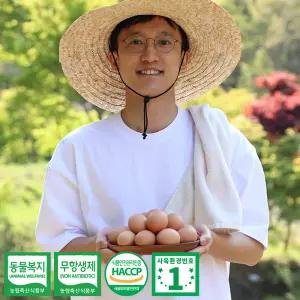 시골다리 난각번호1번 계란 유정란 자연방사 동물복지 무항생제 방목 달걀 40구