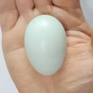 청란 초란 유정란 동물복지 무항생제 청계란