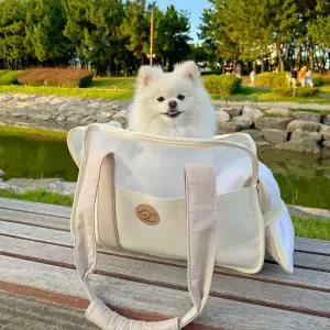 도그팜 강아지 캐리어 산책용 메쉬 이동가방