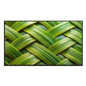 LG전자 OLED55C4ENA 각도조절 벽걸이 올레드 evo 55인치 4K UHD TV 전국추가비용없음 대성가전