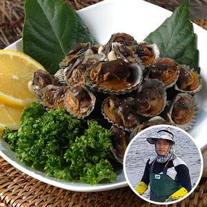 [우체국쇼핑] 갯벌의 진주 벌교 새꼬막 1kg당_중소품(110개내외),상품(85개내외),대품(70미내외)