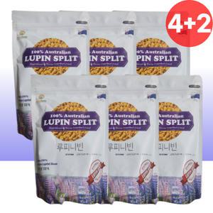 루피리빈 씨앗 루비니빈 6개 루핀콩 루피니빈콩