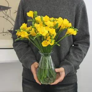 생화 옐로우 프리지아 꽃선물 화병용 꽃 경매 꽃배달 정기구독