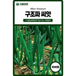 산들마켓 구조파 씨앗 1000립 재래종 대파 조선파 씨 종자