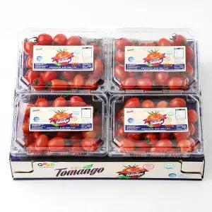 토마토 스테비아 방울토마토 대추토망고 500gx4팩(총 2kg)