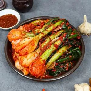 시즌한정 별미 국내산 전라도식 아삭한 양파줄기김치 1kg