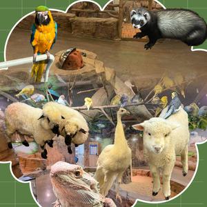 [인천] 실내 동물원 쥬벅스/인천동물원/가볼만한곳/핫플/아이랑가볼만한곳/아이와함께/데이트/테마파크