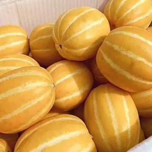 [제주땡큐베리팜영농조합법인]농장직송 성주 꿀 참외 가정용 중소과 3kg