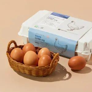 [30구 단위 구매 가능] 무항생제 신선계란 15구