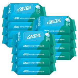 스카트 유리 거울 이지앤퀵 청소티슈 30매 x12개