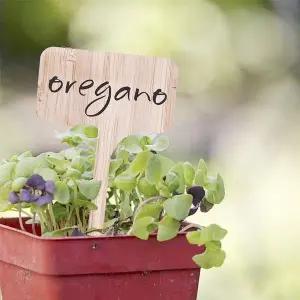 [하프클럽/셀러허브_여성트랜드패션]우드 식물 화분 꽃 이름표 팻말 DD-11638