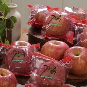 [가족] 경북 의성眞 세척사과(부사) 4.5kg