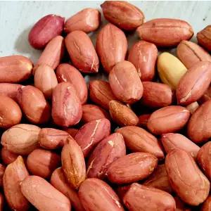 [롯데백화점]제이선 여주 햇땅콩 볶은땅콩 1kg 국내산 알땅콩