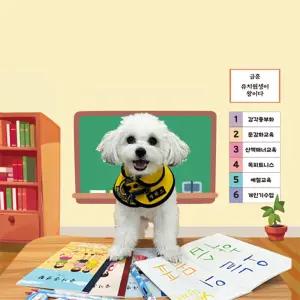 옐레드 마곡점 애견유치원 애견호텔 이용권