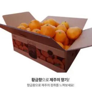 명절 설날 제주 황금향3kg 가정용흠과 실중량2.5kg 크기혼합과 과일 대량주문
