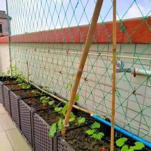 넝쿨망 그물망 원예 오이망 덩굴 호박망 유인망 텃밭