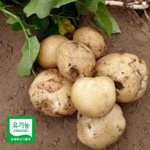 유기농 강원도 홍천 수미감자 2kg 외 골라담기