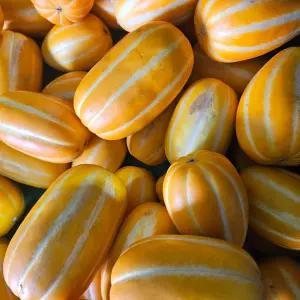 더달달 국내산 못난이 성주참외