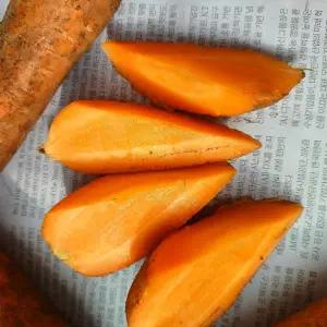 제주 구좌 흙당근 5kg 중사이즈 신선 제철 당근