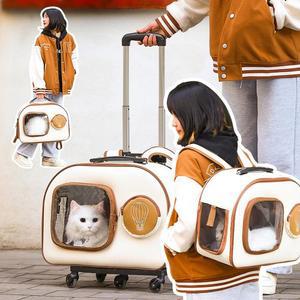 강아지 투명 가방 애견 이동 백팩 대형 고양이 이동장 배낭 바퀴 켄넬