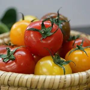 [자연맛남]맛있는 오색 칵테일토마토 2kg