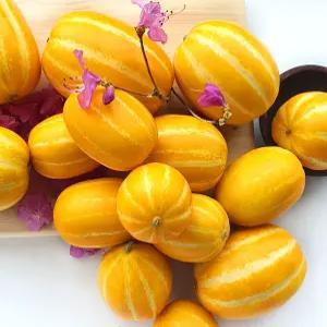 더달달 국내산 경북 성주 꿀 참외 4.5kg